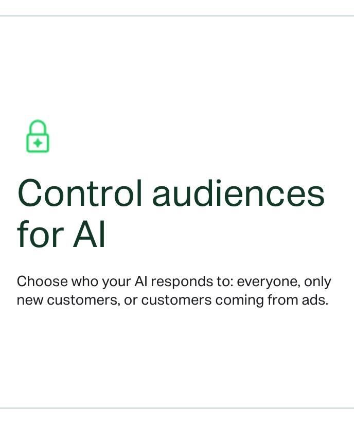 Control audiences for AI: everyone, only new customers, or customers coming from ads