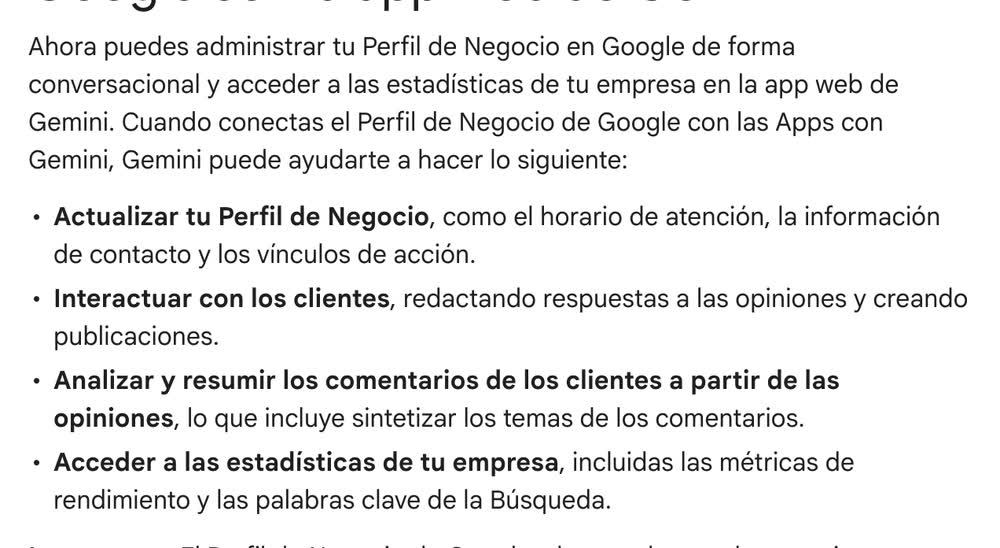 Lista oficial de lo que Gemini puede hacer con el Perfil de Negocio